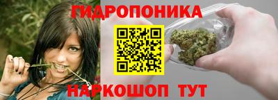 трава Аргун