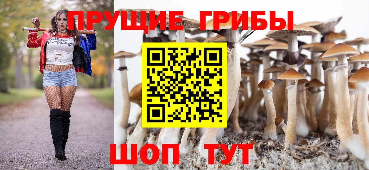 Галлюциногенные грибы мухоморы  Галлюциногенные грибы мухоморы  Бийск  Вход с VPN 