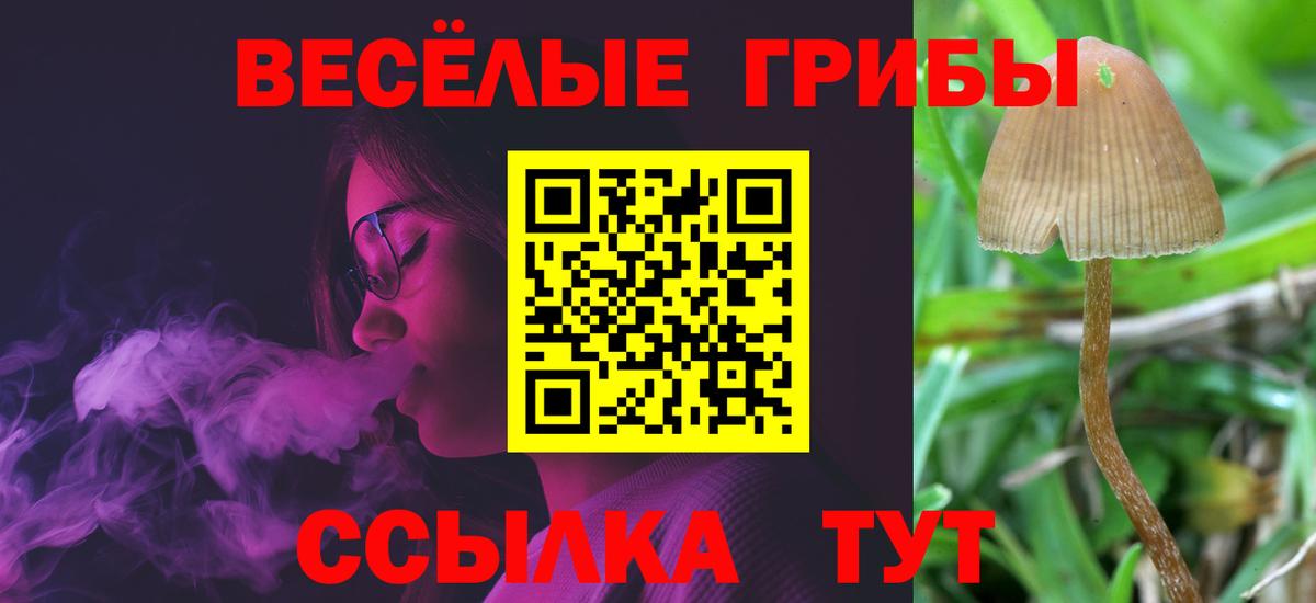 Галлюциногенные грибы Magic Shrooms Бийск